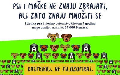 Sufinanciranje kastracije i sterilizacije mačaka i pasa